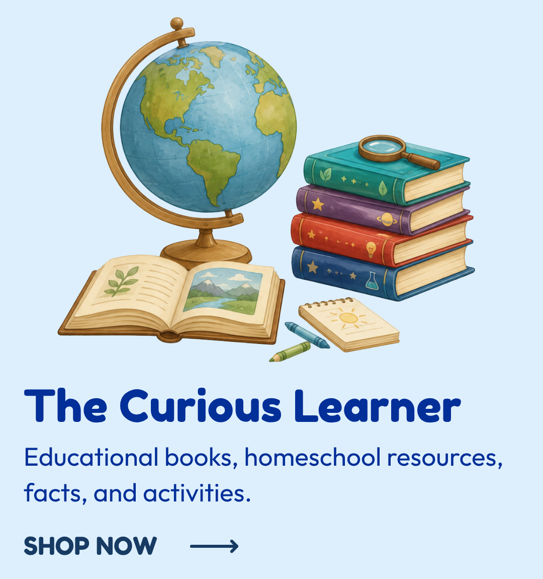The Curious Learner