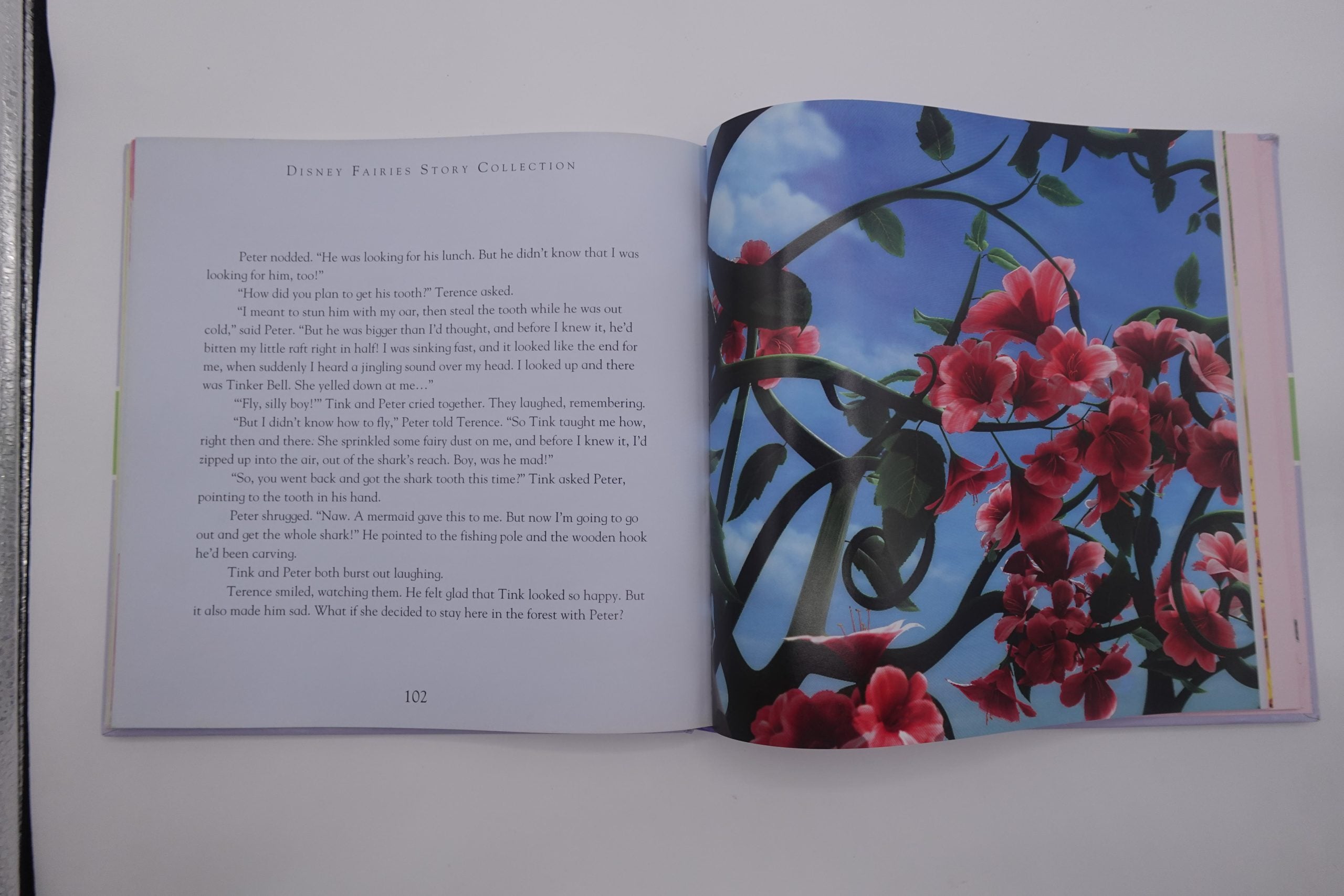 Disney Fairies Storybook Collection