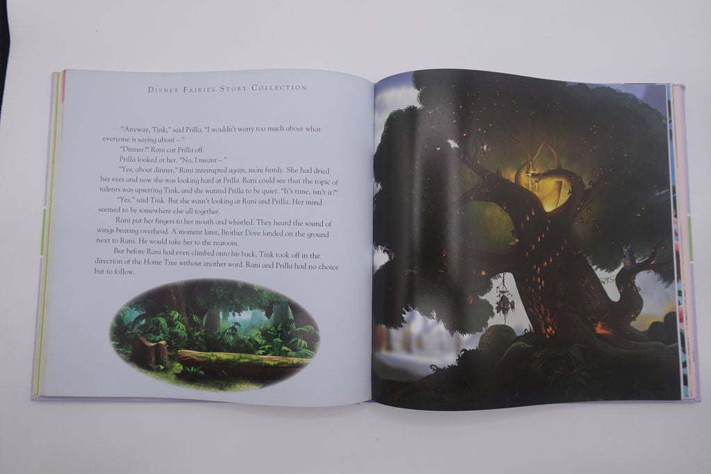 Disney Fairies Storybook Collection
