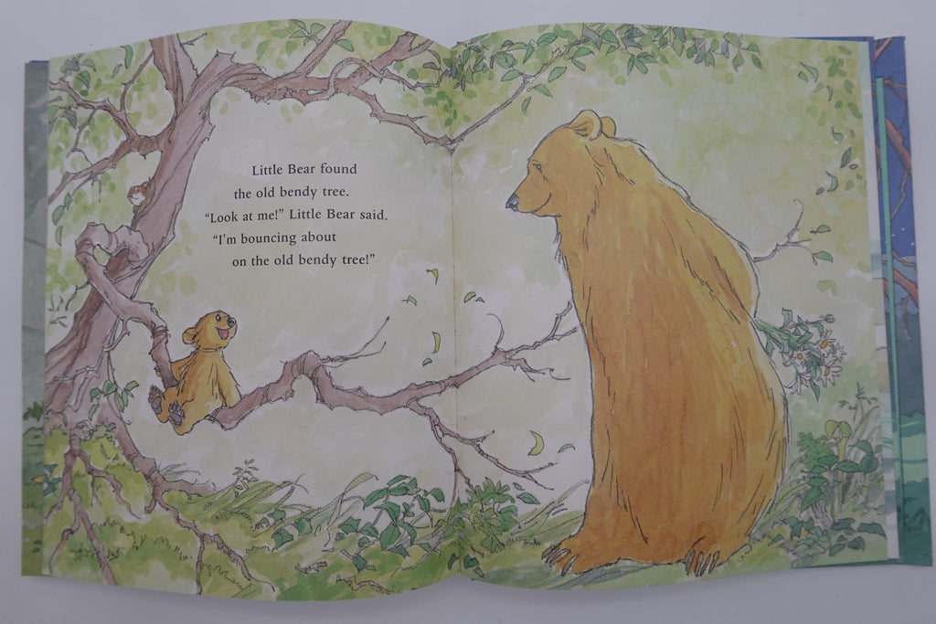 The Little Bear Stories