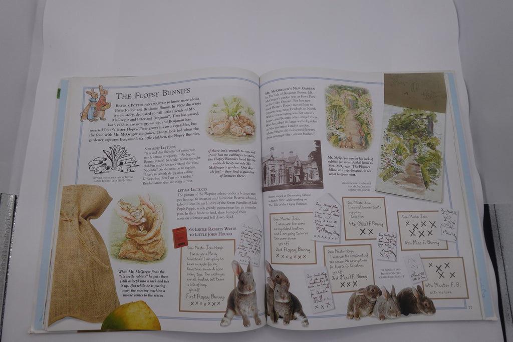 The Ultimate Peter Rabbit (A Visual Guide)
