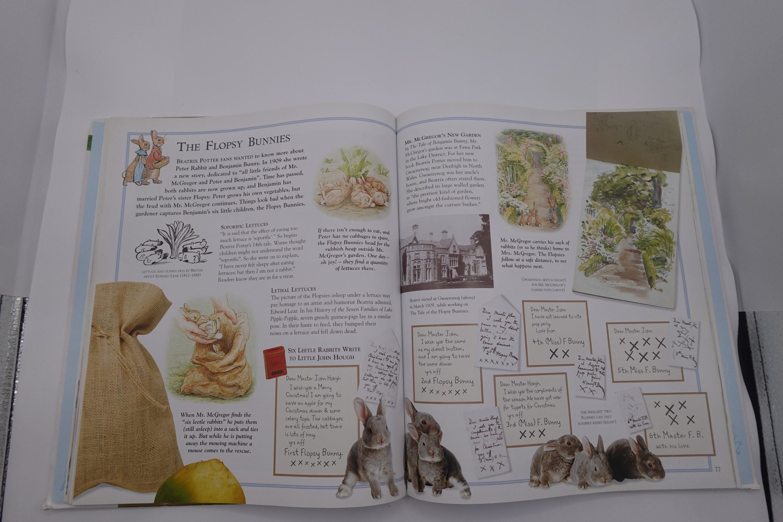 The Ultimate Peter Rabbit (A Visual Guide)