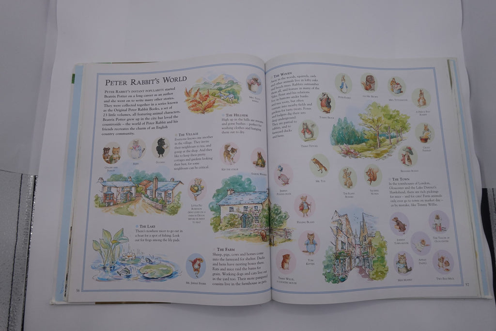 The Ultimate Peter Rabbit (A Visual Guide)