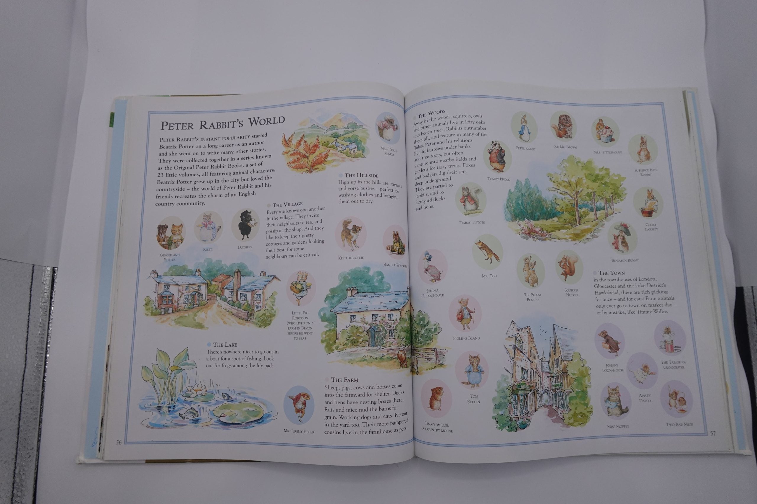The Ultimate Peter Rabbit (A Visual Guide)