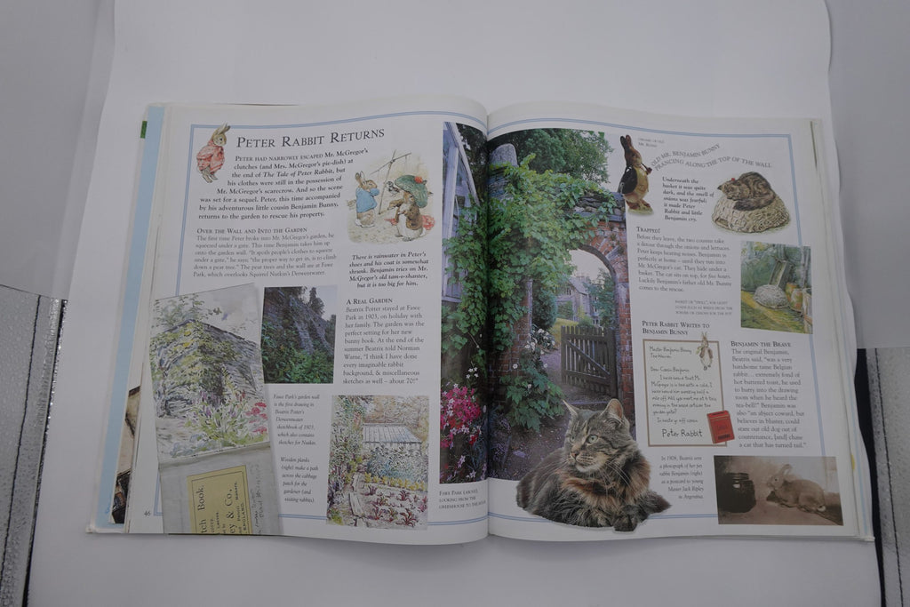 The Ultimate Peter Rabbit (A Visual Guide)