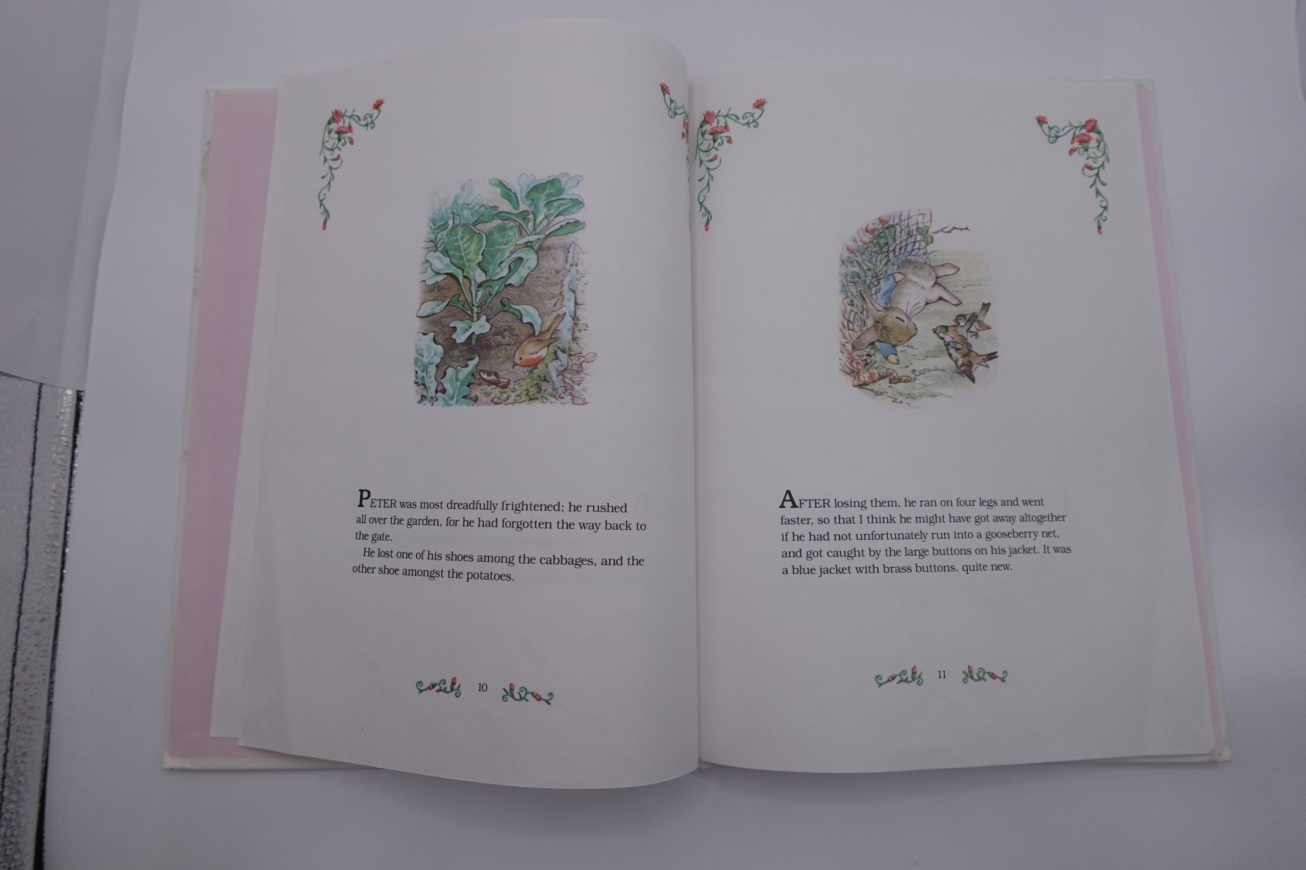 The Tale of Peter Rabbit