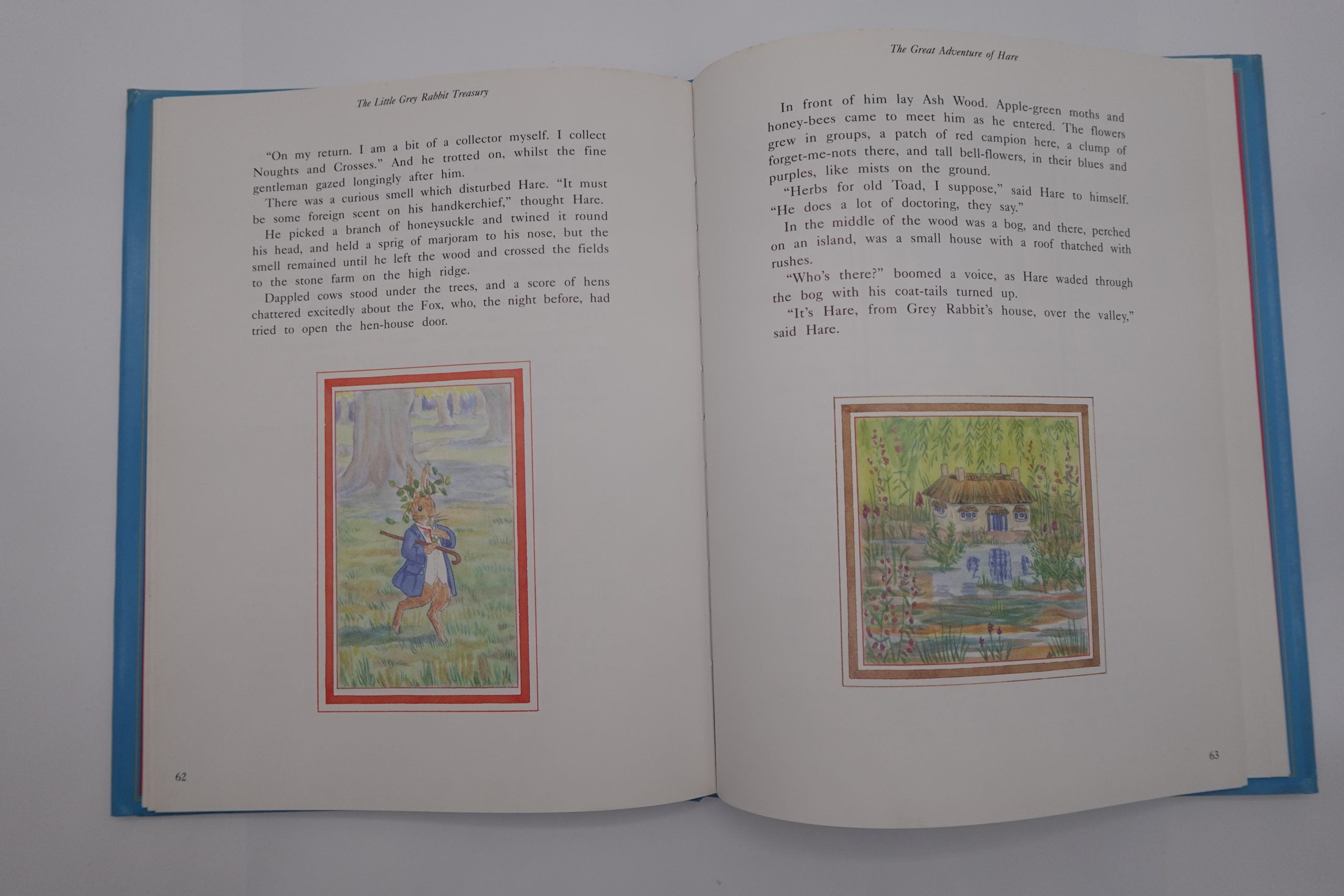 The Little Grey Rabbit Treasury