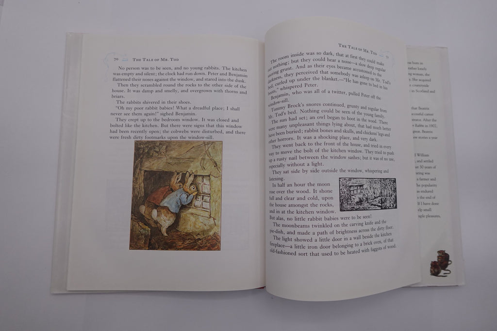 Peter Rabbit Tales