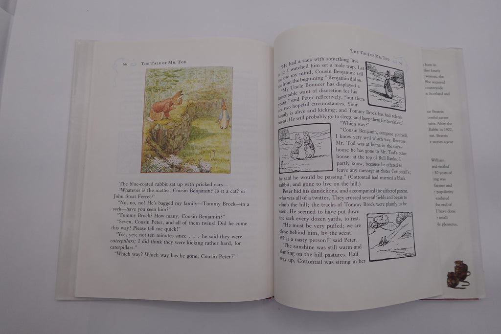 Peter Rabbit Tales