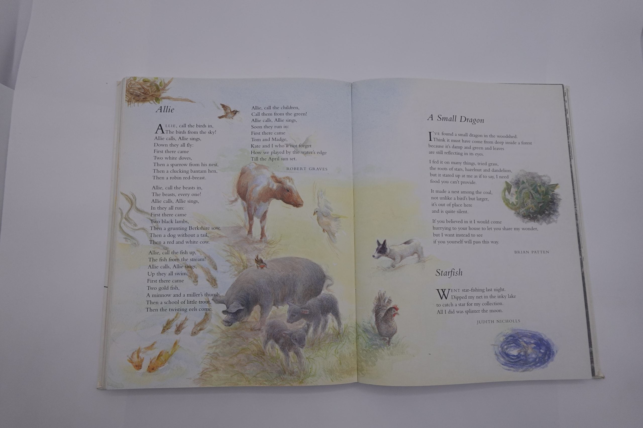The Hutchinson Treasury of Children’s Poetry