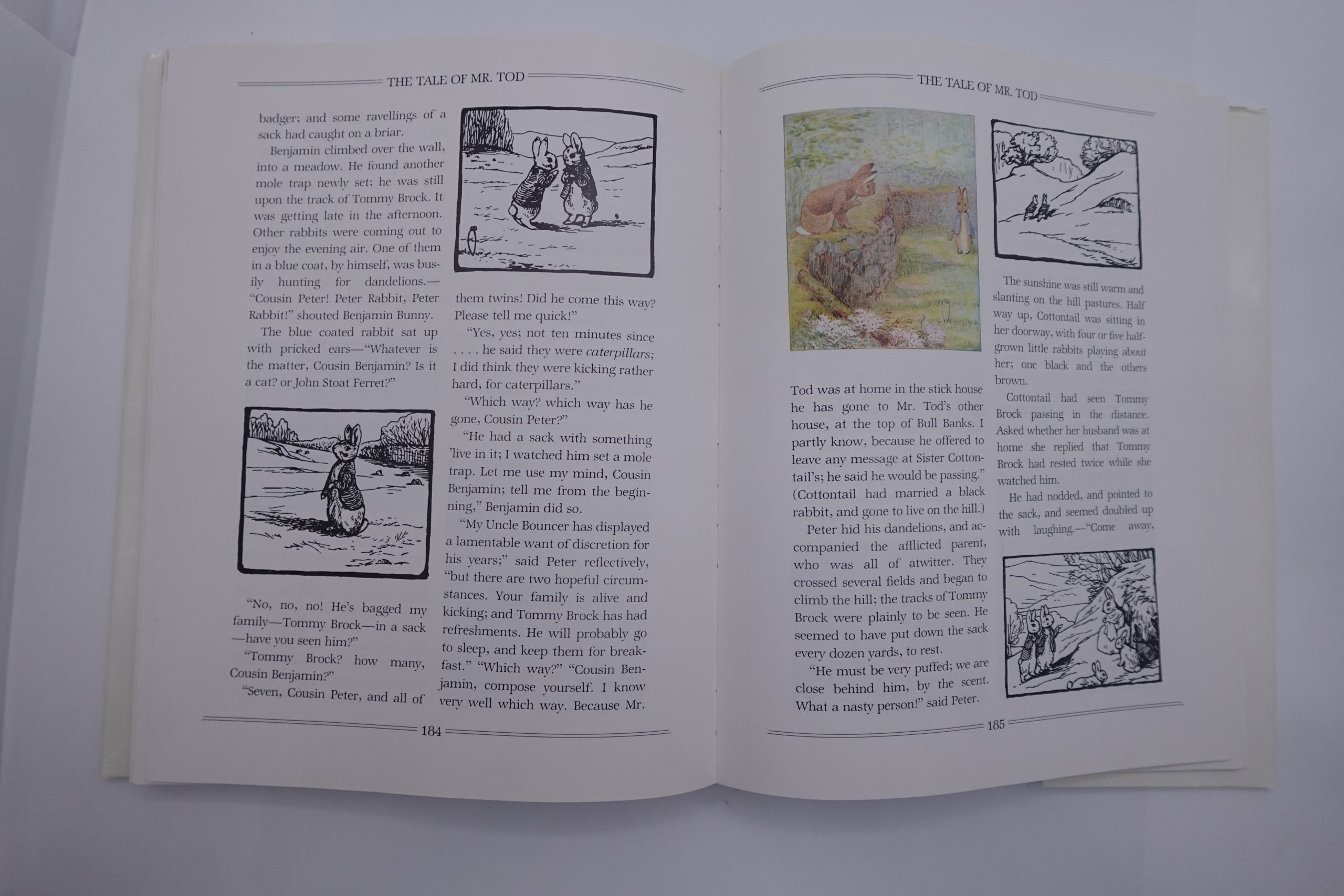 The Great Big Treasury of Beatrix Potter (with dust cover)