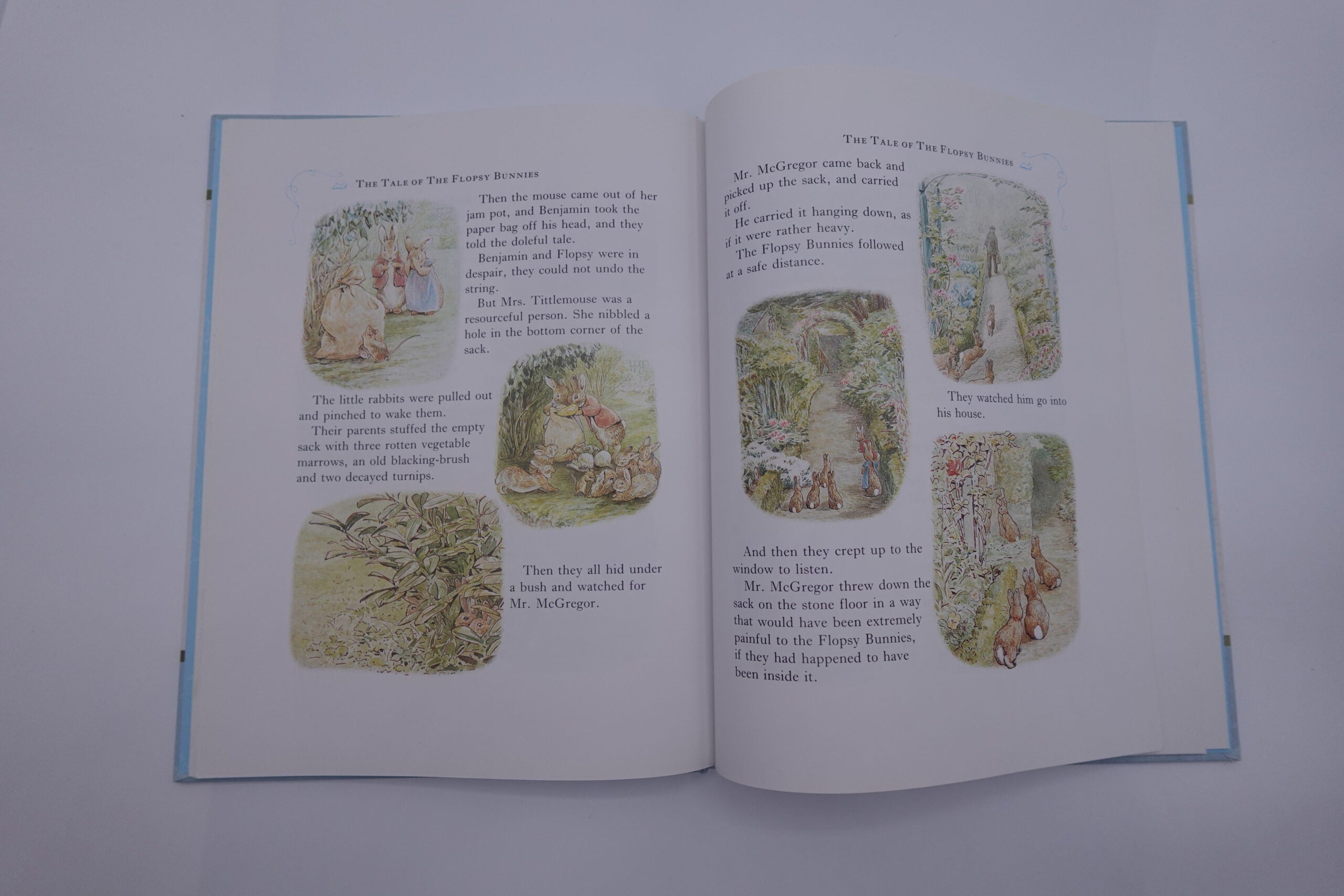 Peter Rabbit Storytime - Volume One