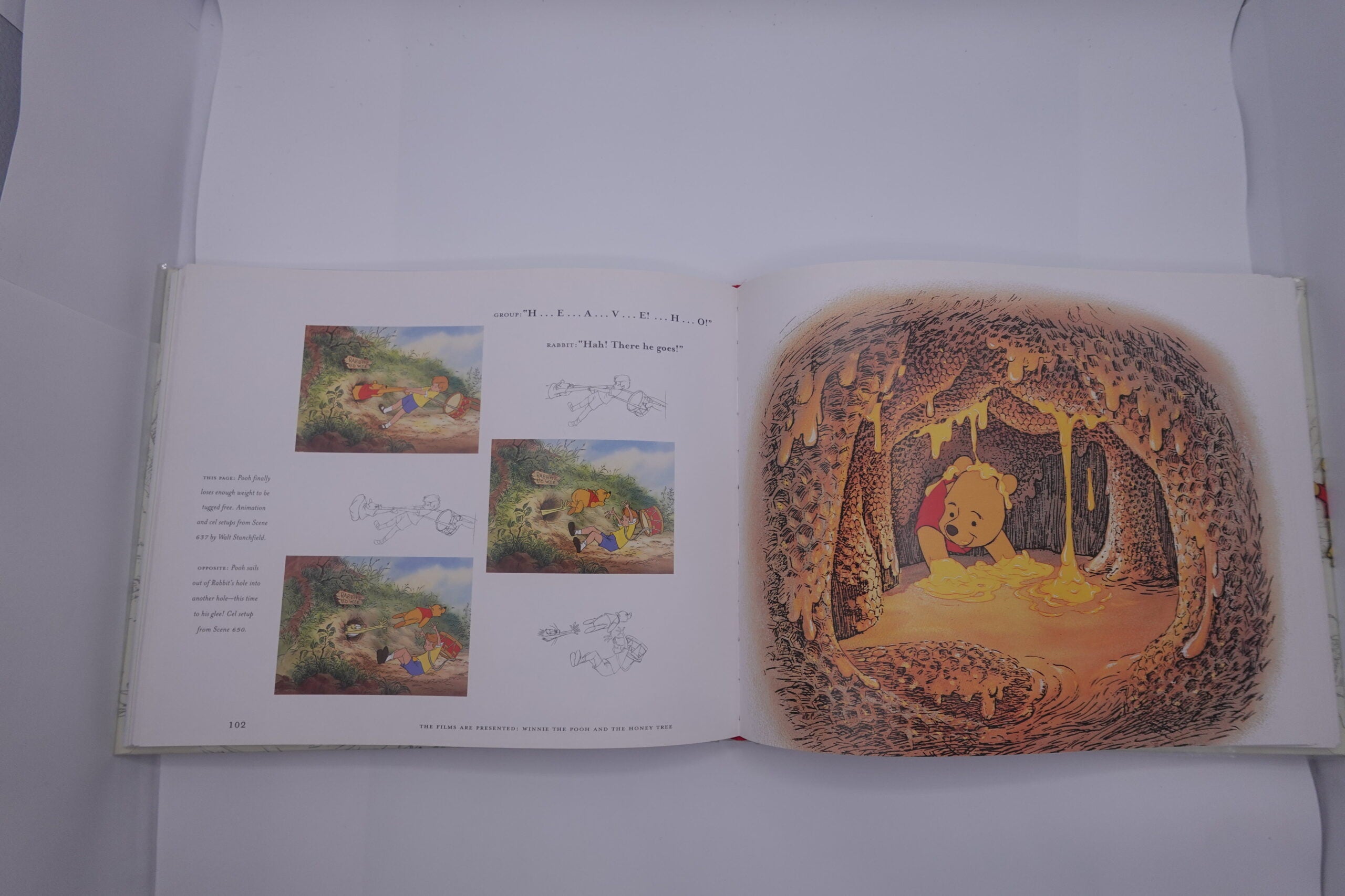 Disney’s Winnie the Pooh (Collector's Edition)
