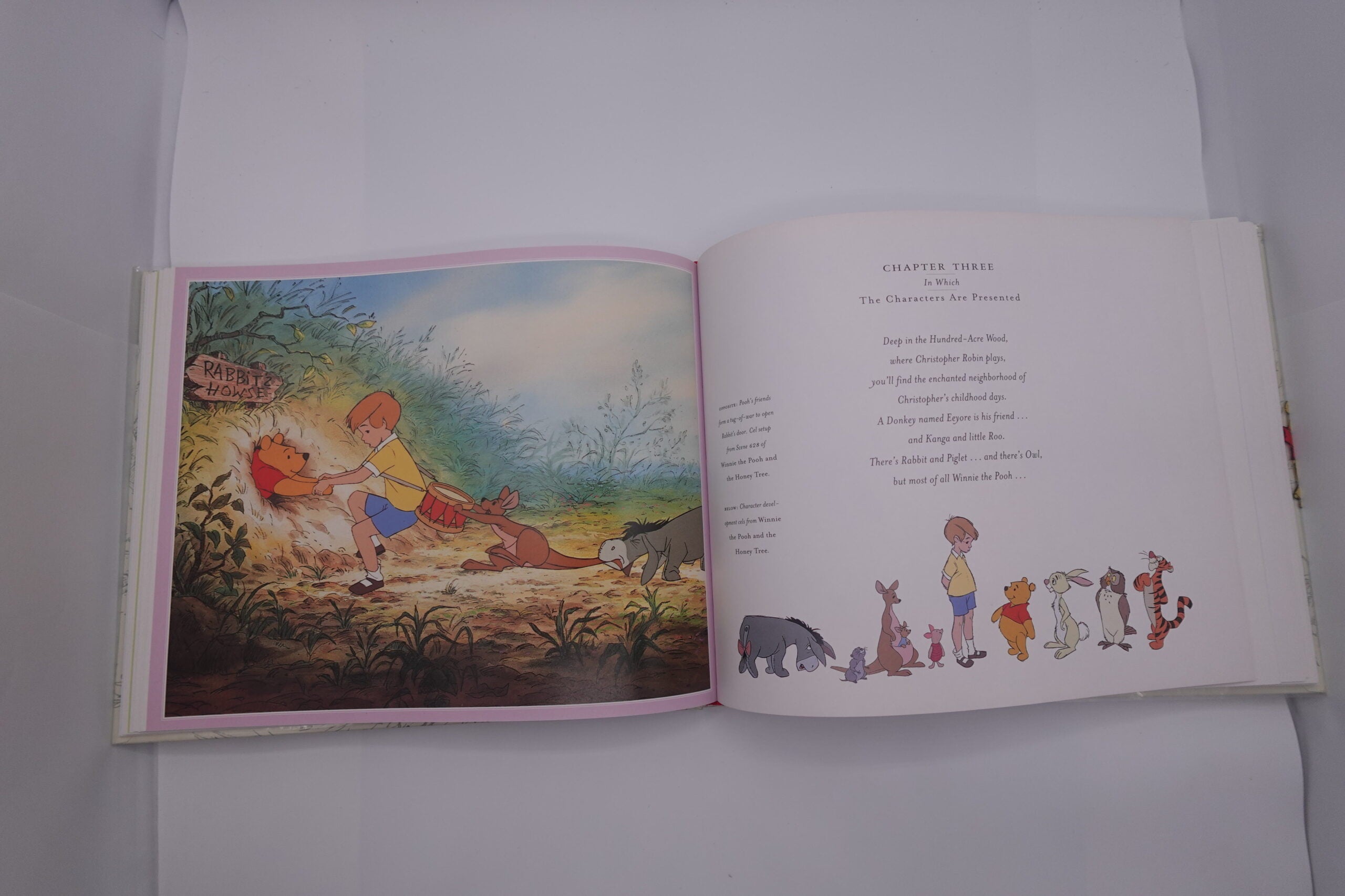 Disney’s Winnie the Pooh (Collector's Edition)