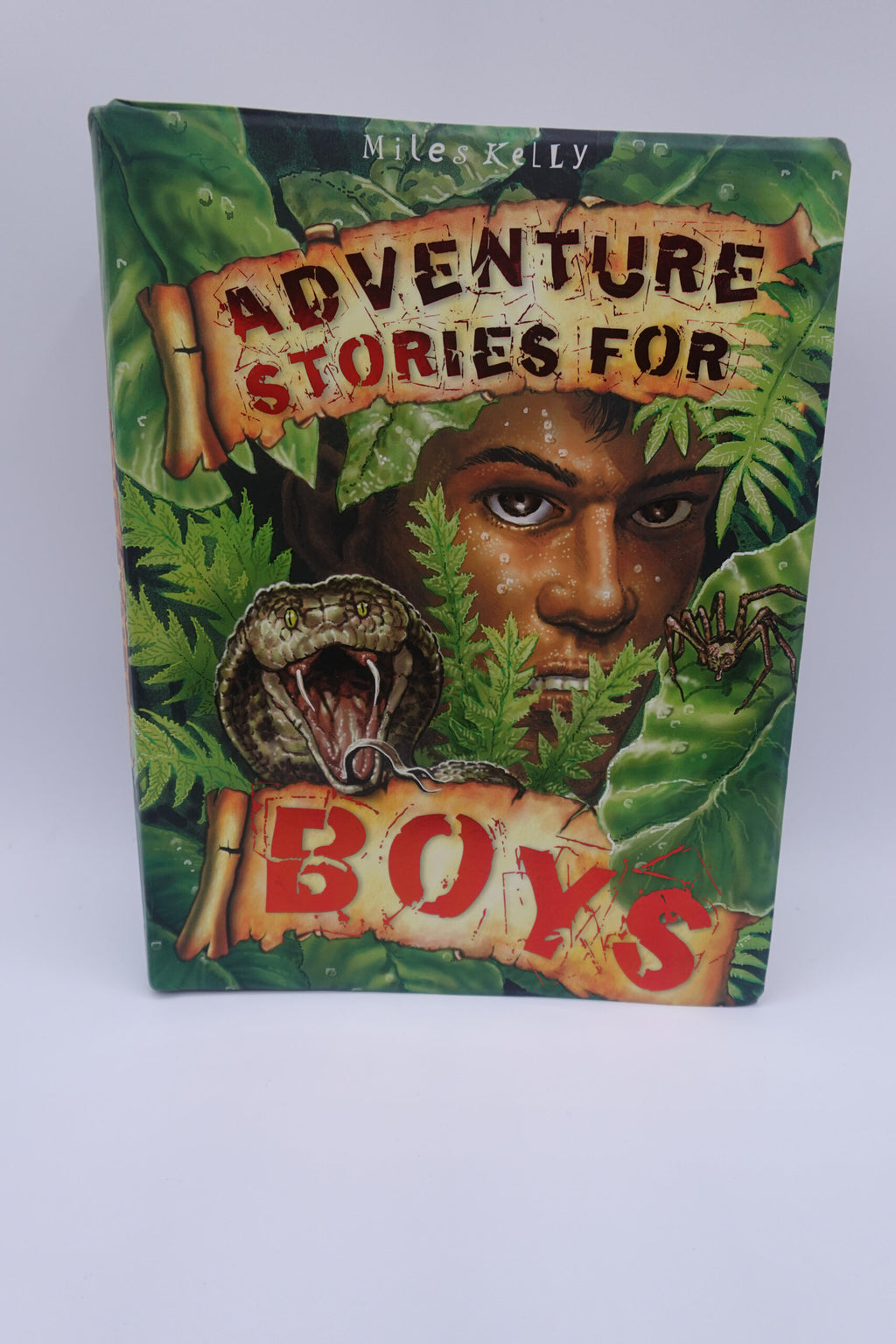 Adventure Stories for Boys
