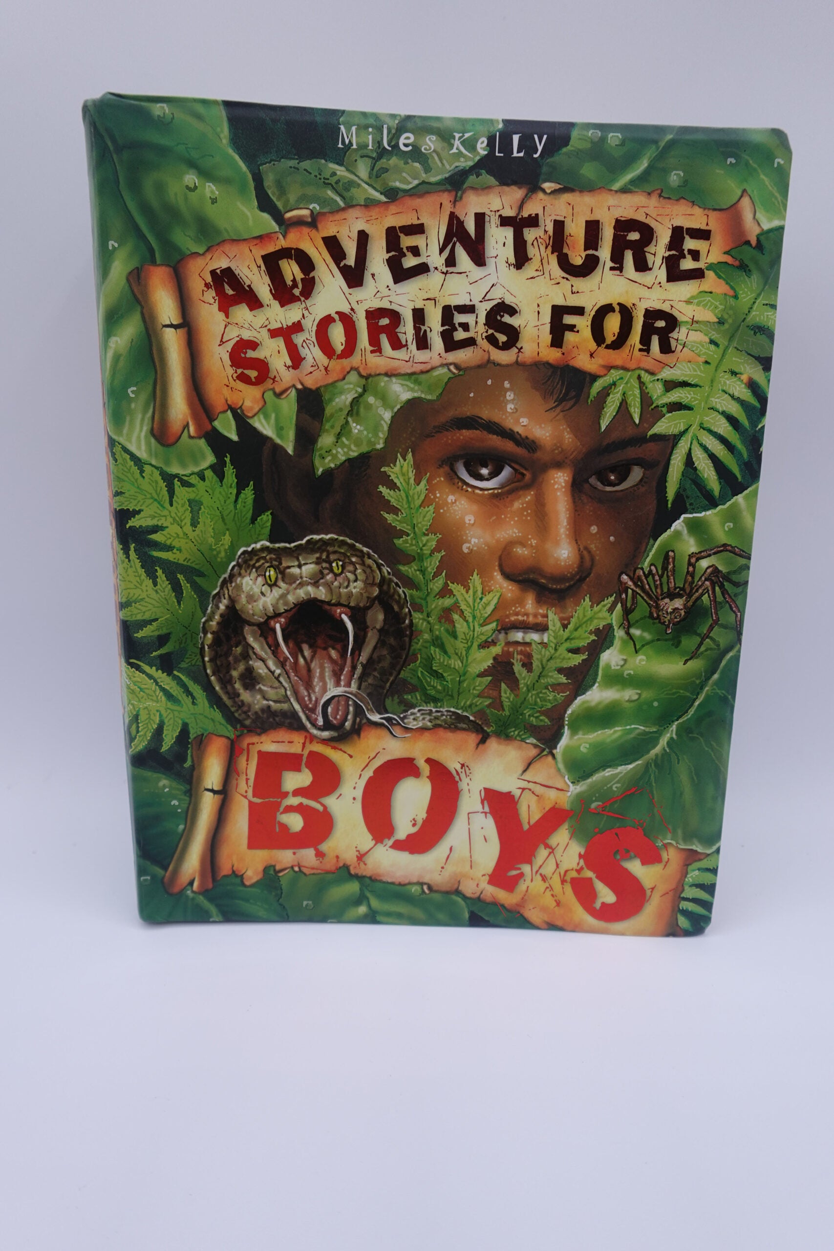 Adventure Stories for Boys