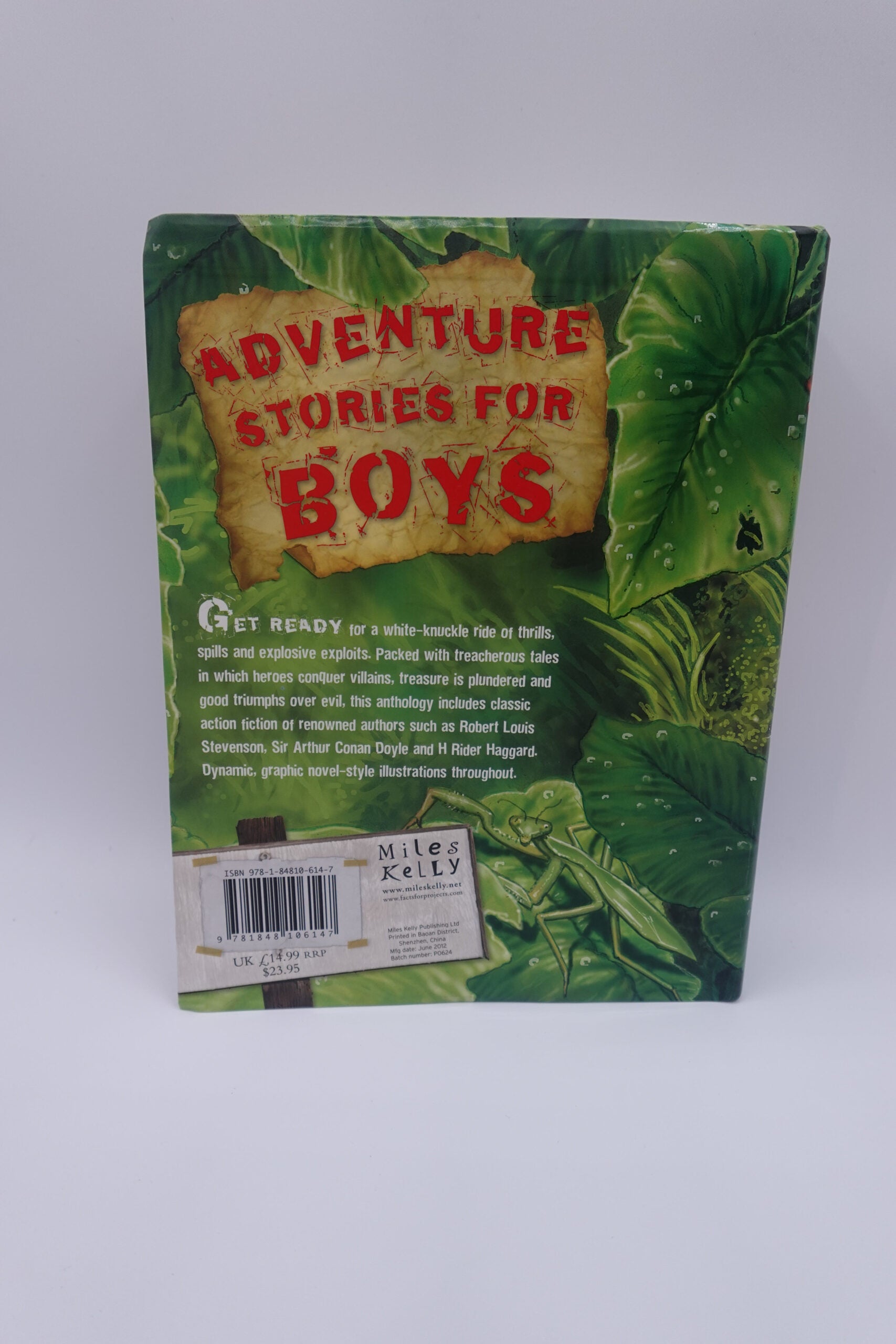 Adventure Stories for Boys