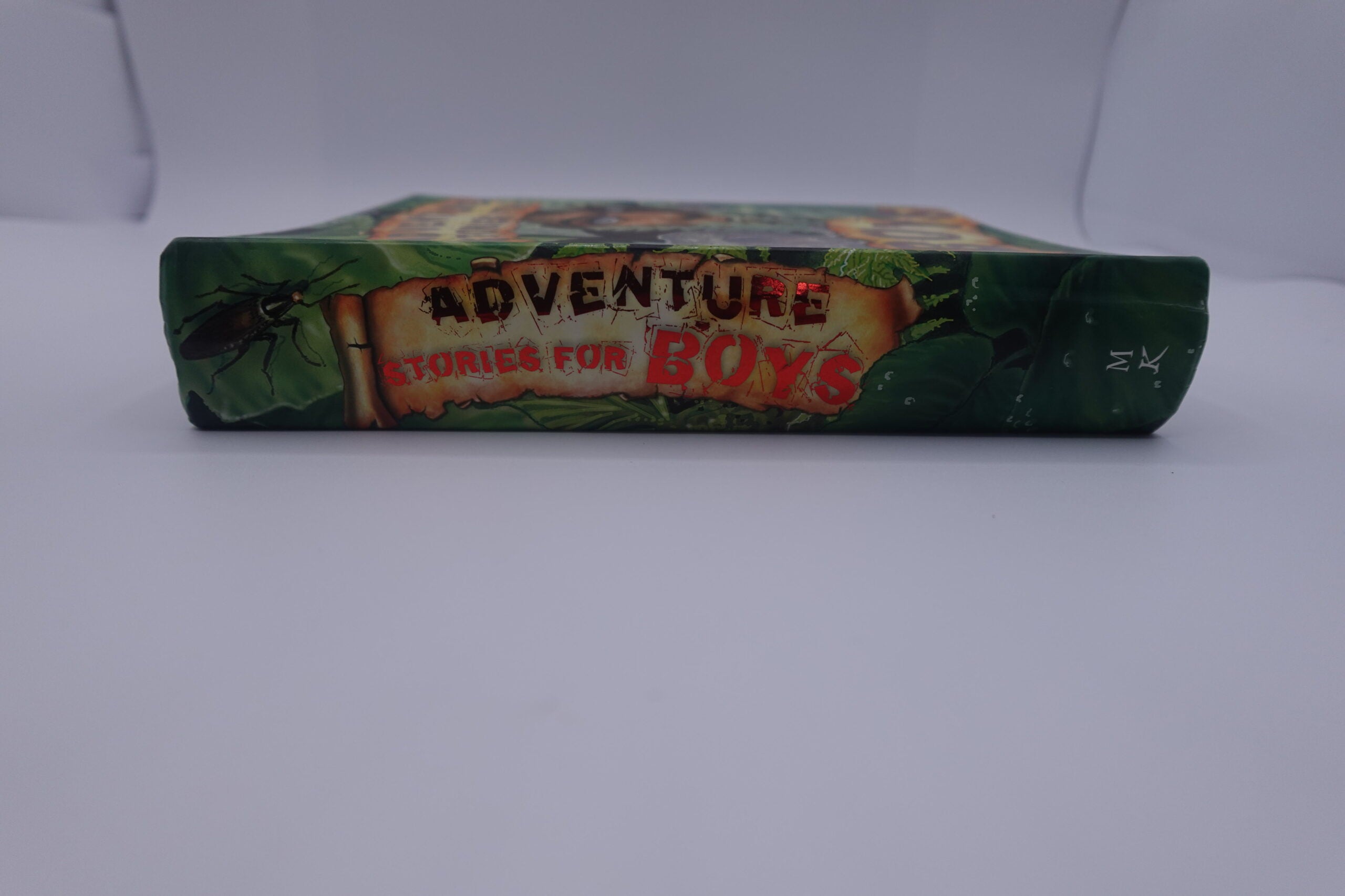 Adventure Stories for Boys