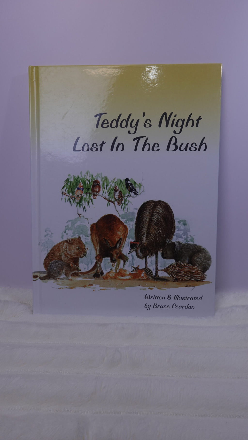 Teddy’s Night Lost in the Bush