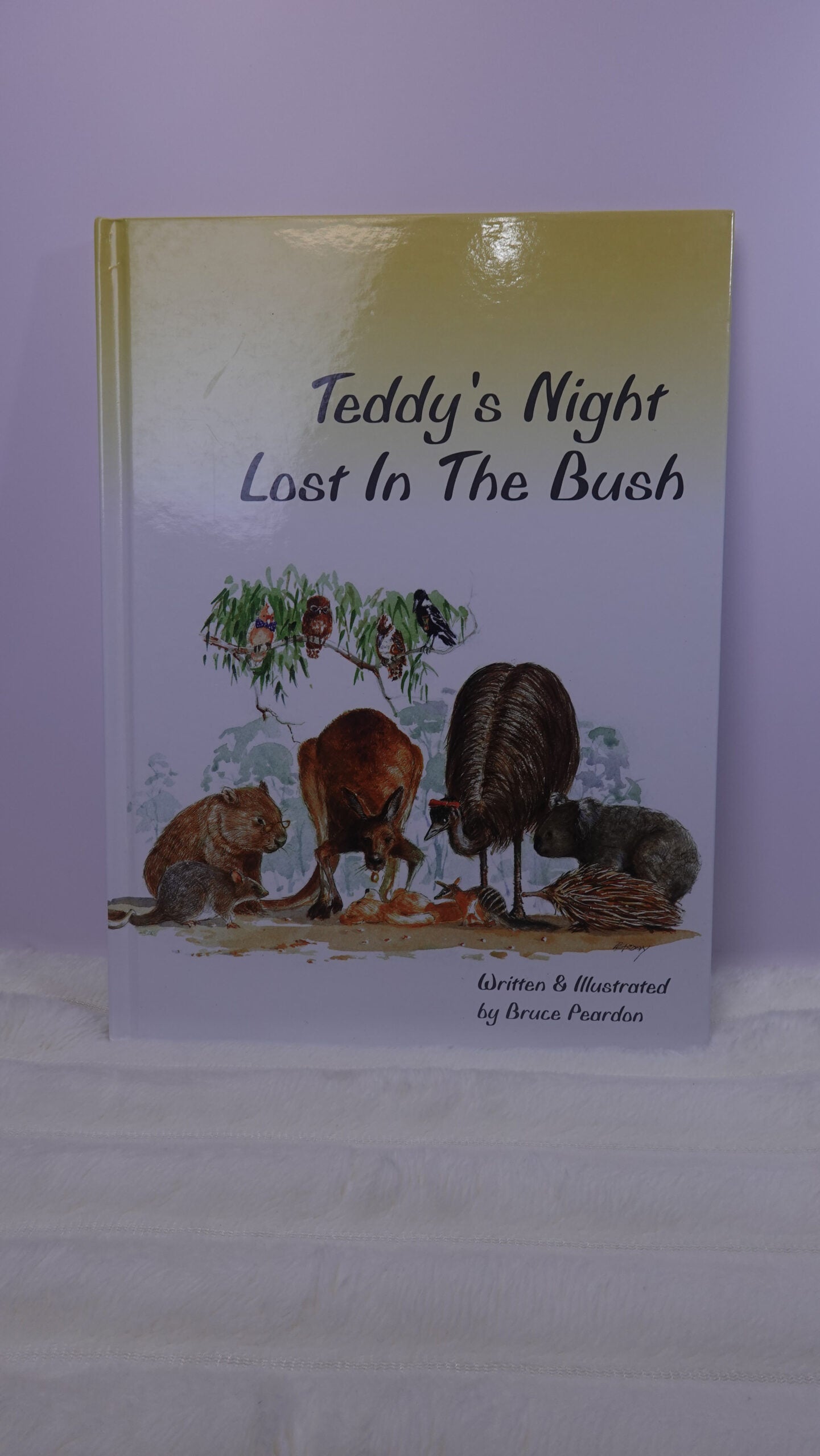 Teddy’s Night Lost in the Bush