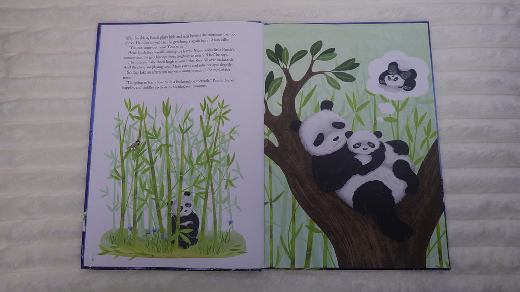 Panda’s Amazing Journey
