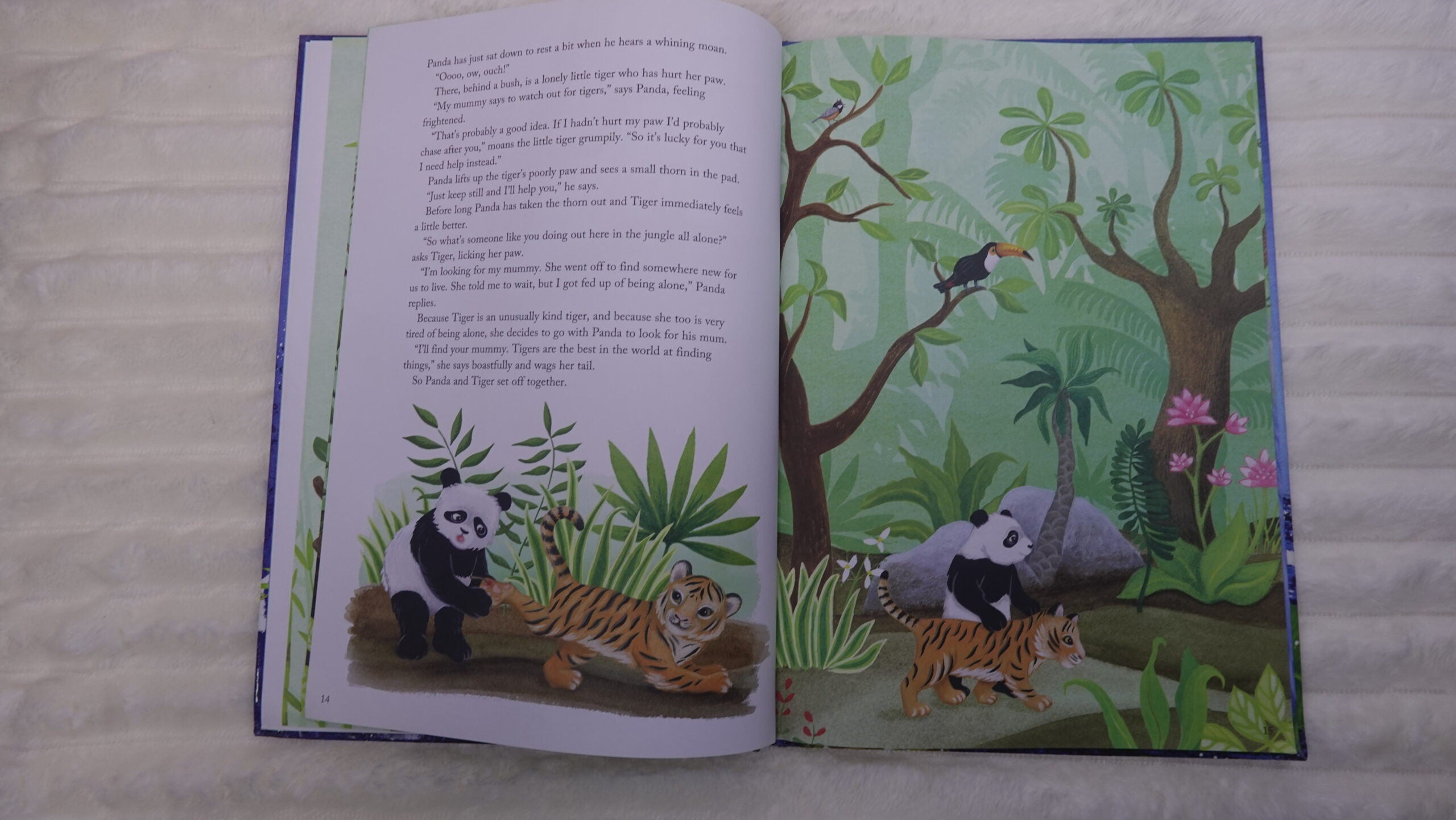 Panda’s Amazing Journey