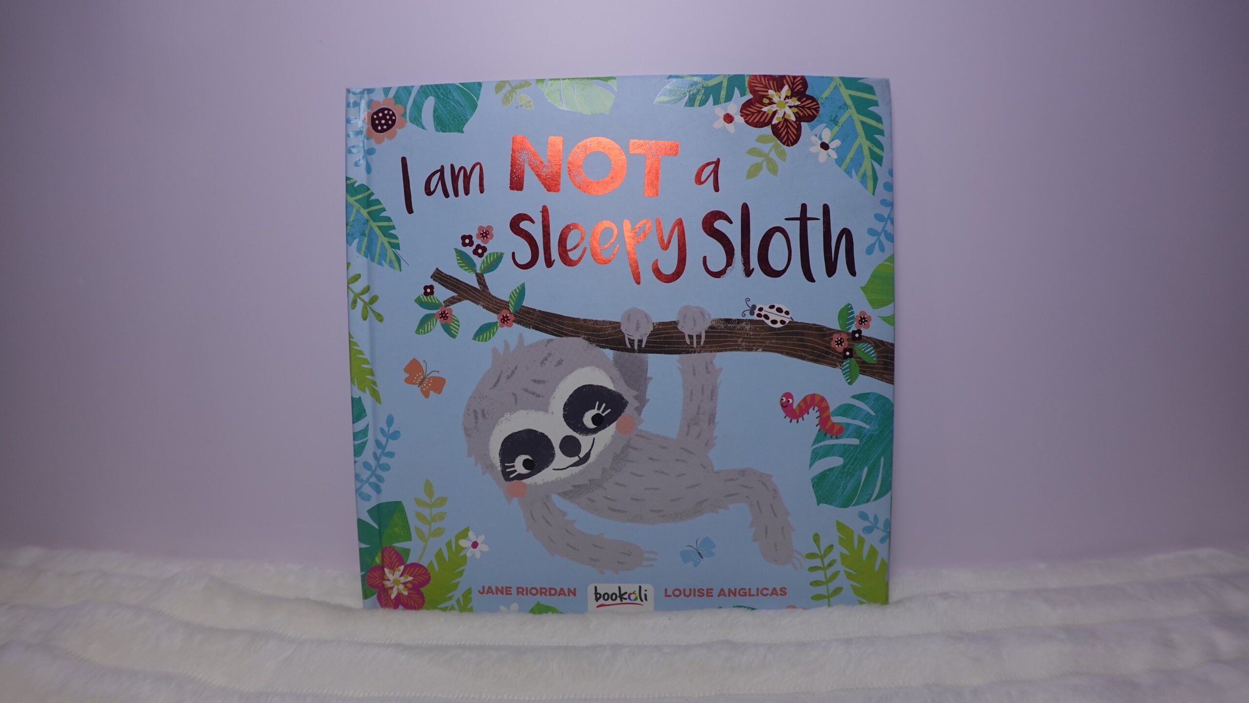 I Am NOT a Sleepy Sloth