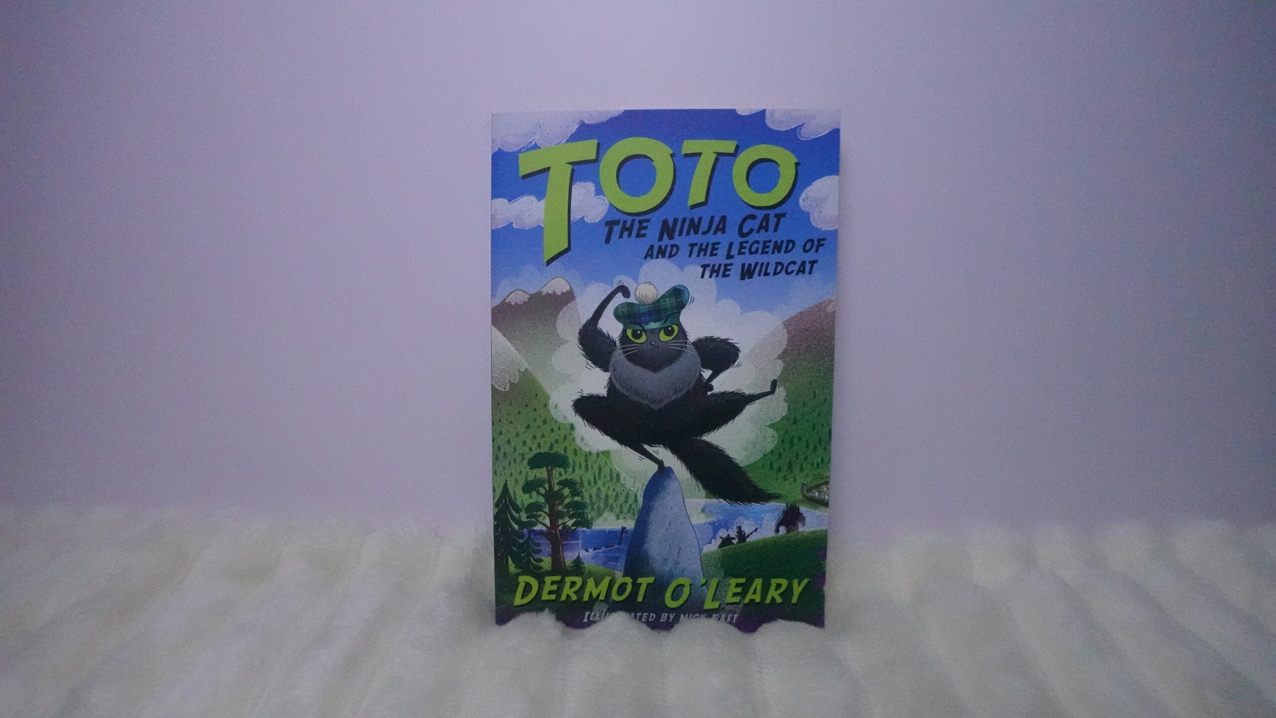 Toto the Ninja Cat