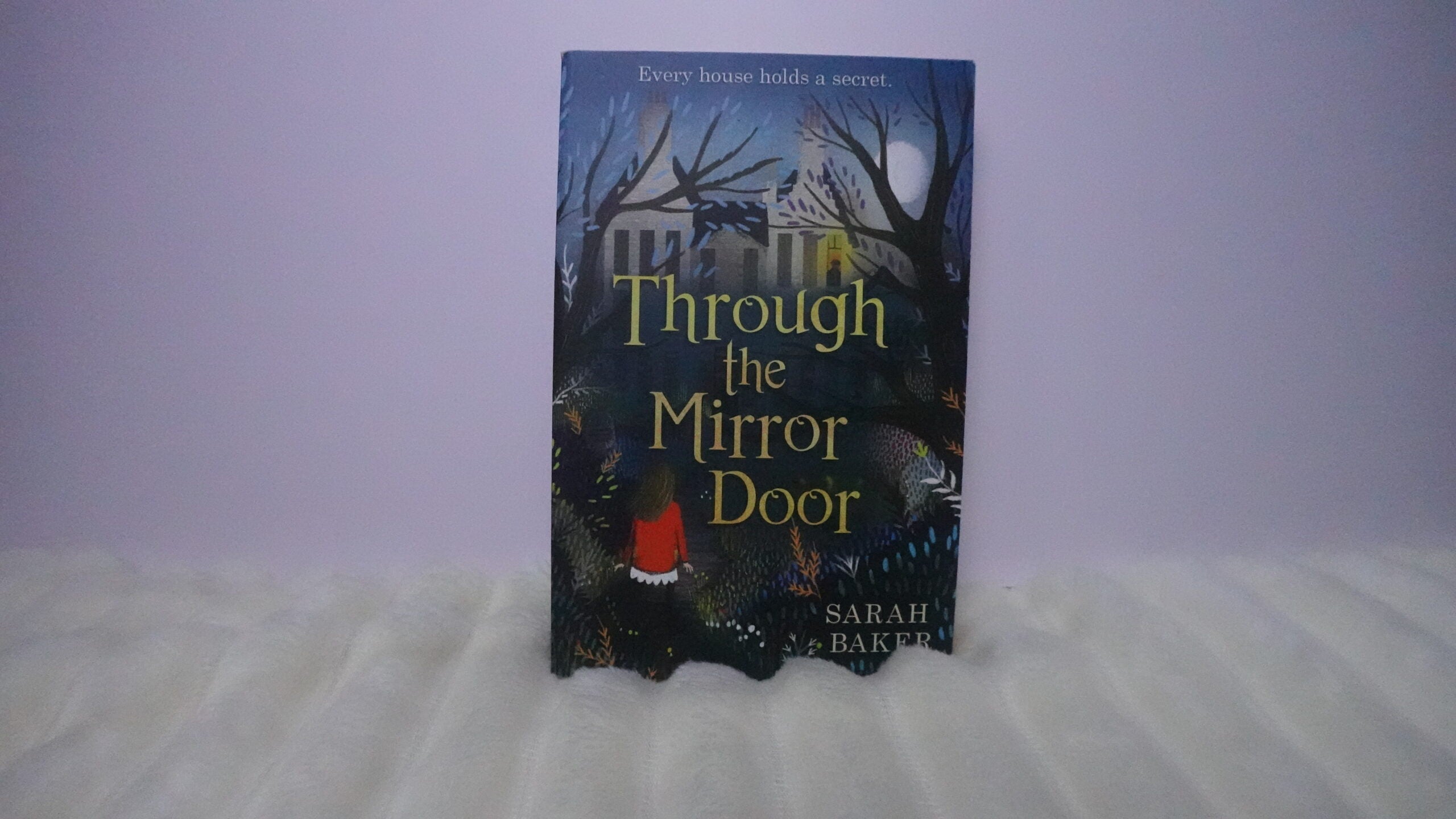 Through the Mirror Door