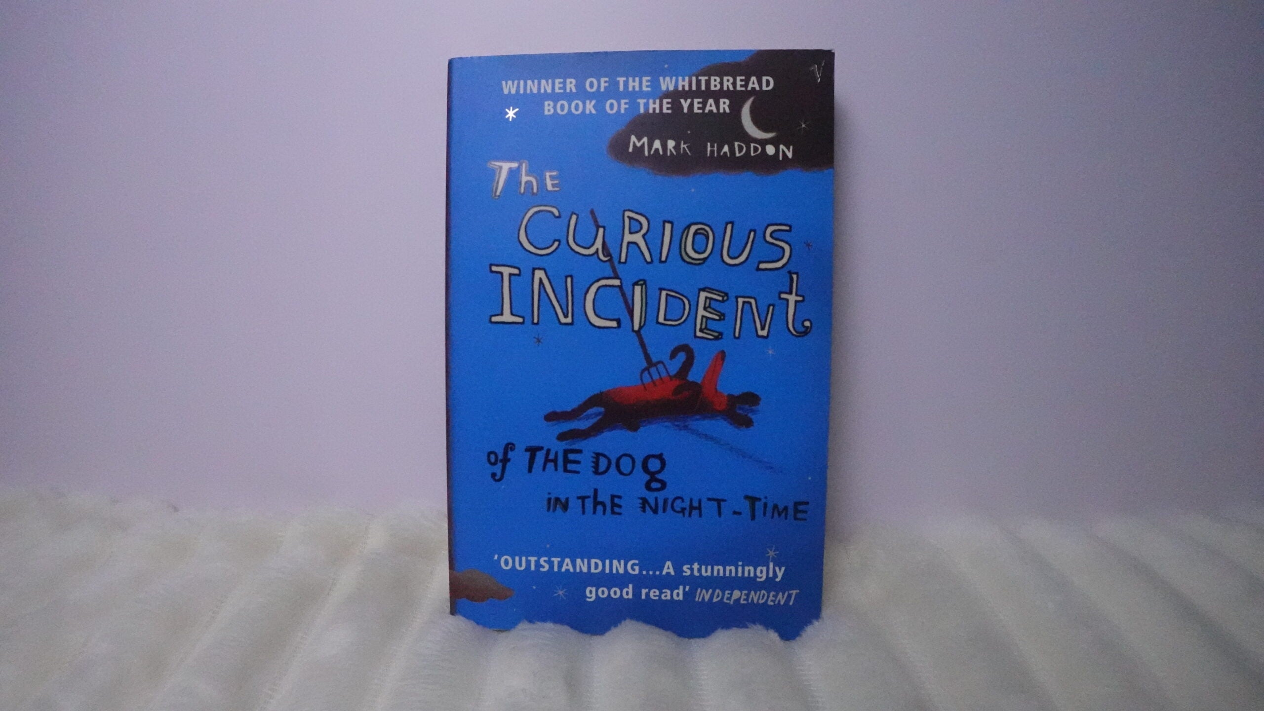 The Curious Incident of the Dog in the Night-Time