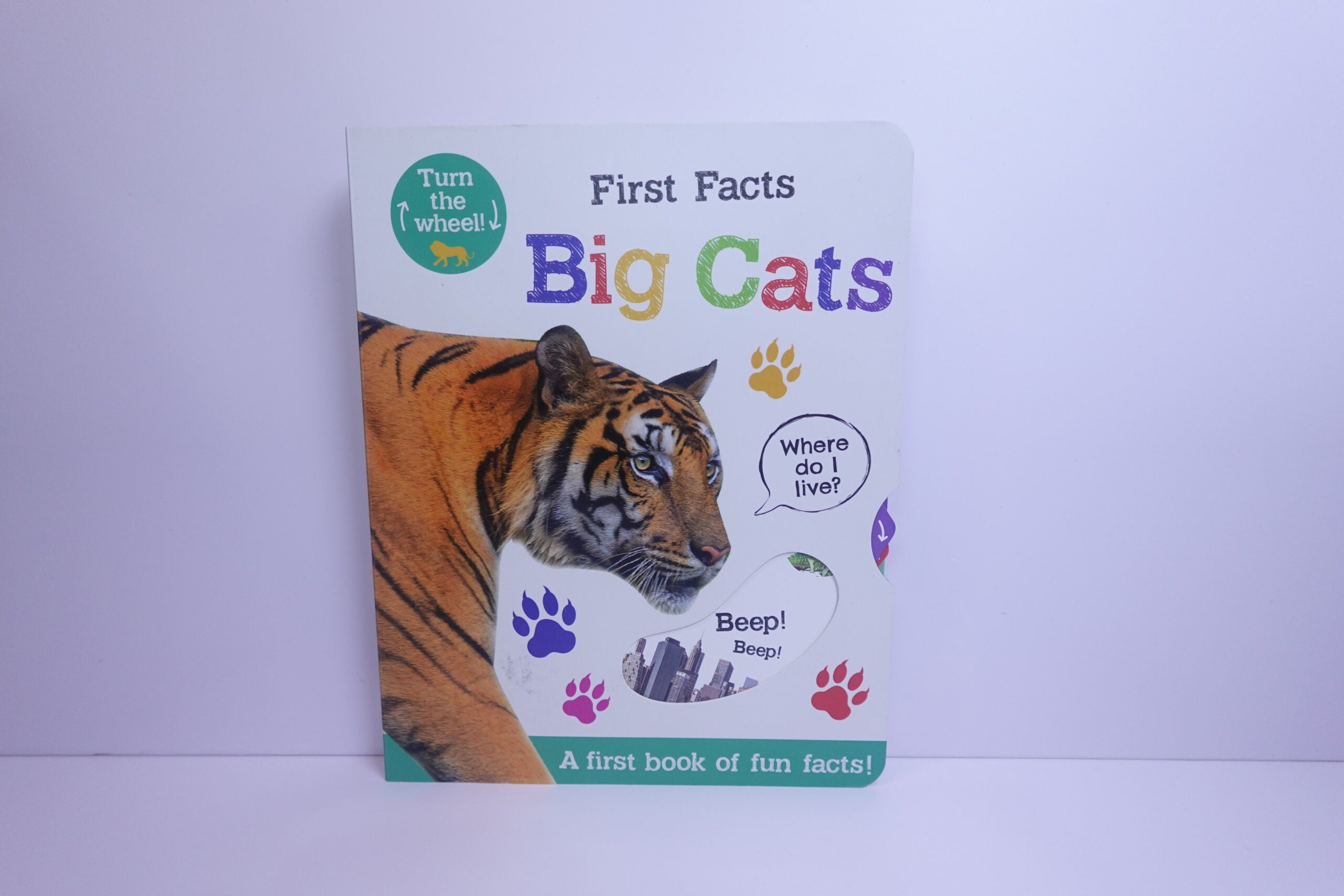 Move, Turn, Learn: Big Cats