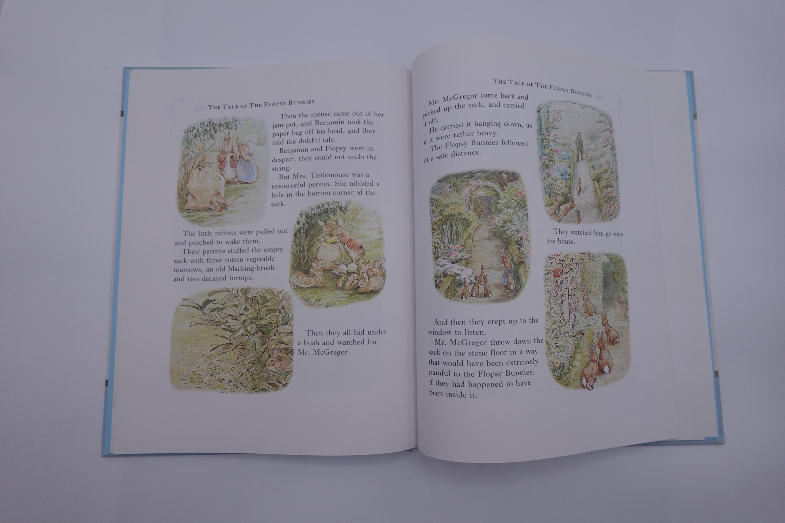 Peter Rabbit Storytime - Volume One - Image 10