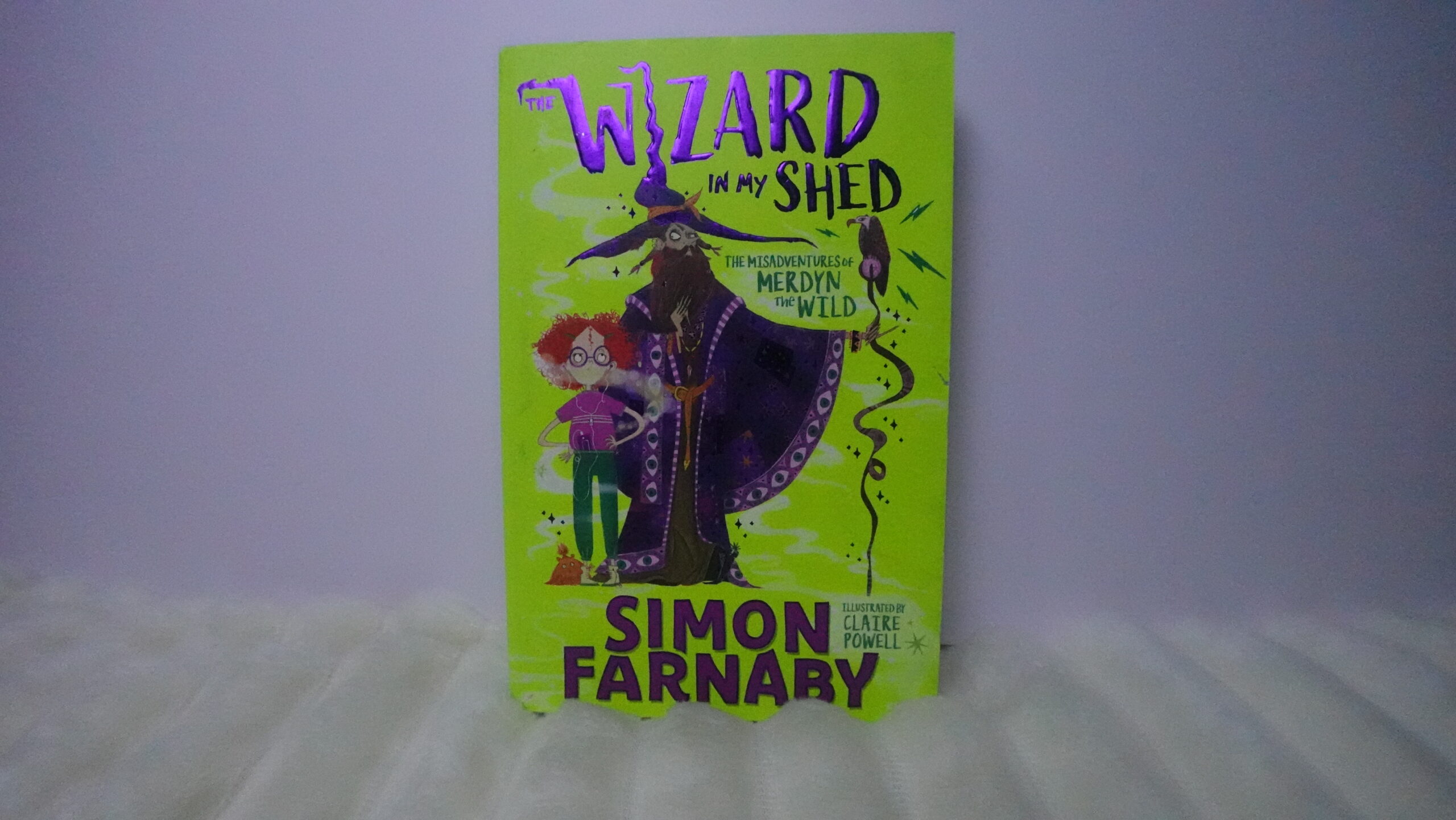 The Wizard in My Shed